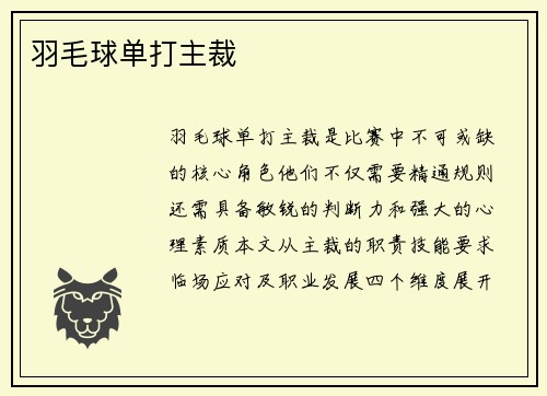 羽毛球单打主裁