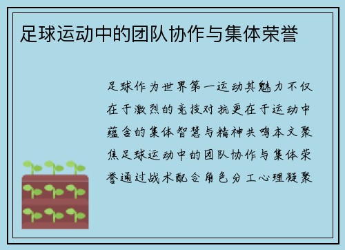 足球运动中的团队协作与集体荣誉