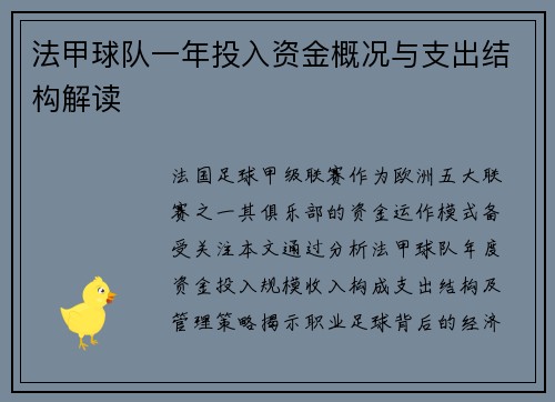 法甲球队一年投入资金概况与支出结构解读