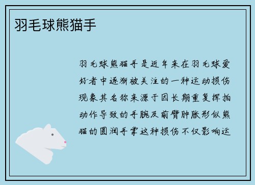 羽毛球熊猫手
